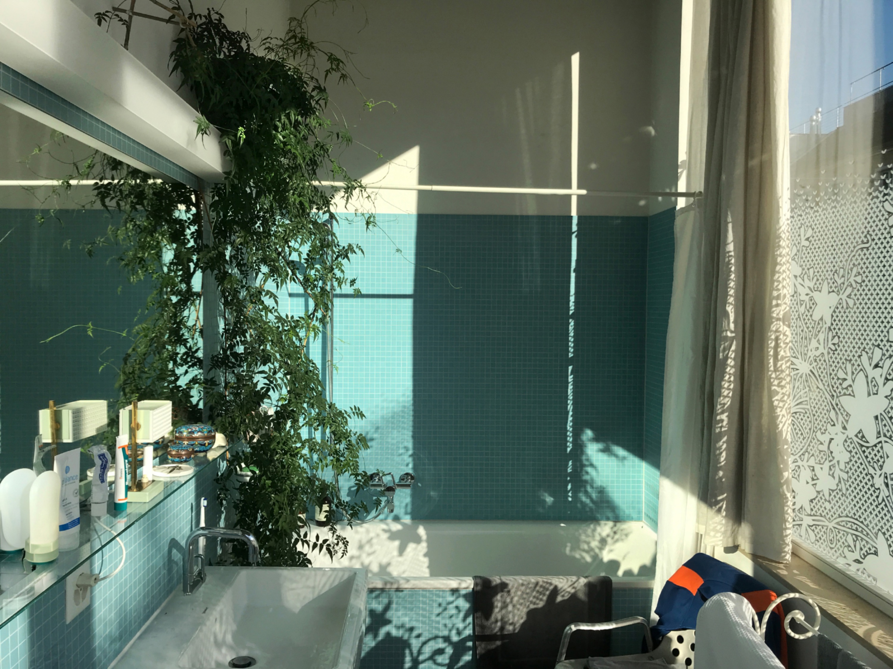 Bad mit türkisem Mosaik, Pflanze und Morgenlicht