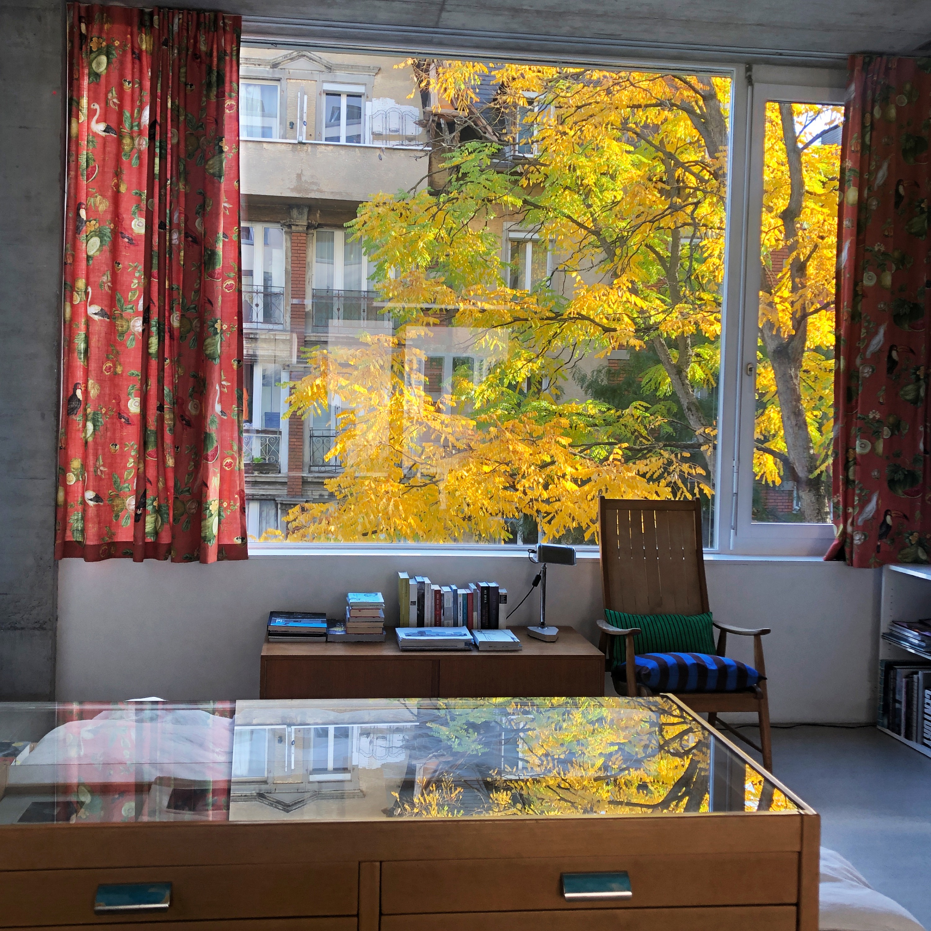 Arbeitszimmer mit Blick in die herbstliche Robinie